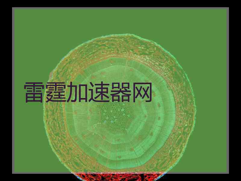 雷霆加速器网 雷霆加速器网
