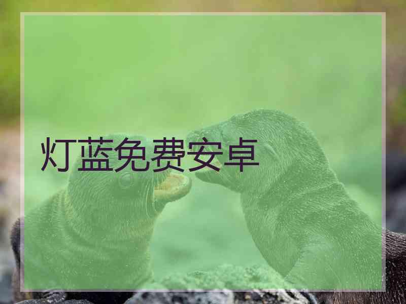 灯蓝免费安卓 灯蓝免费安卓