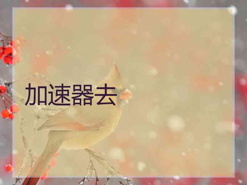 加速器去 加速器去