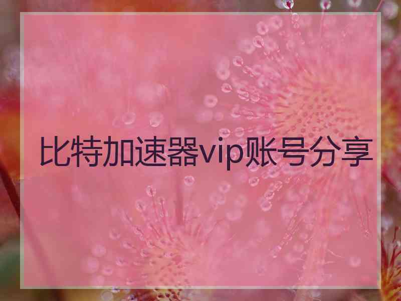 比特加速器vip账号分享 比特加速器vip账号分享
