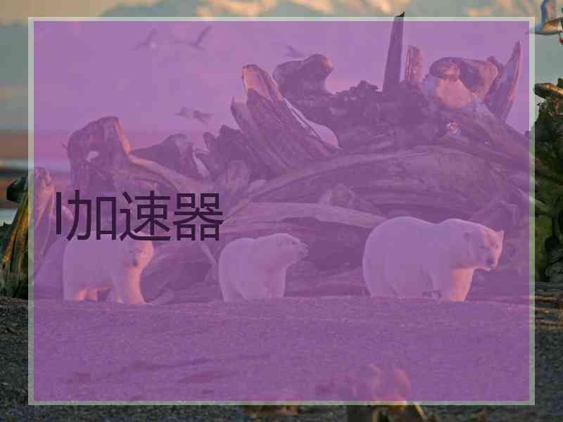 l加速器 l加速器