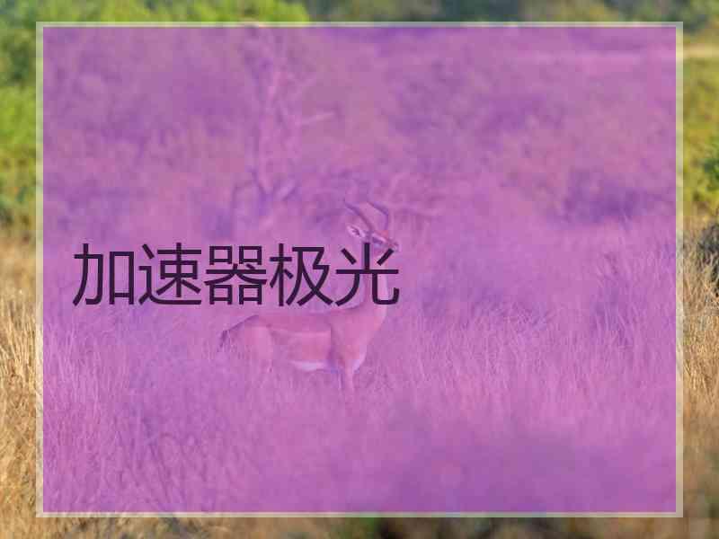 加速器极光 加速器极光