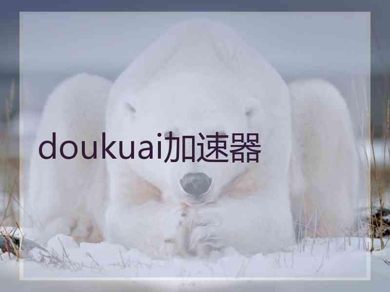 doukuai加速器 doukuai加速器