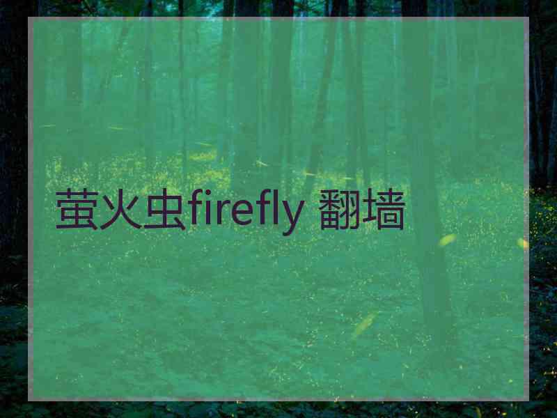 萤火虫firefly 翻墙