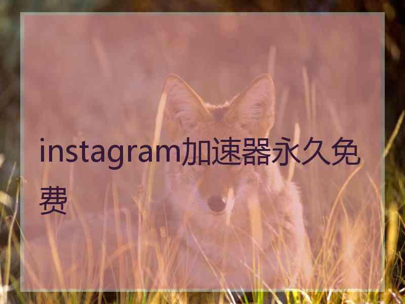 instagram加速器永久免费 instagram加速器永久免费