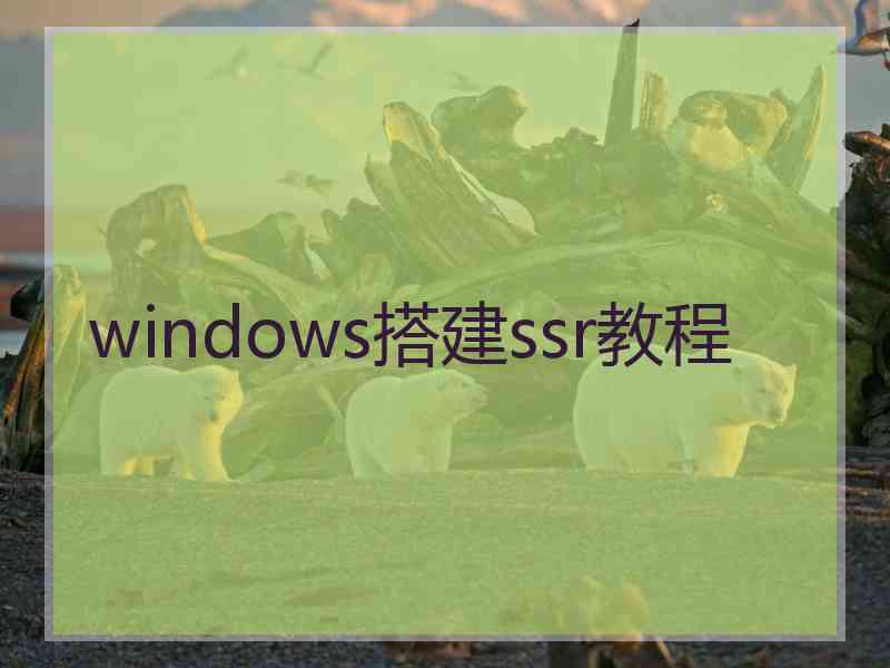 windows搭建ssr教程