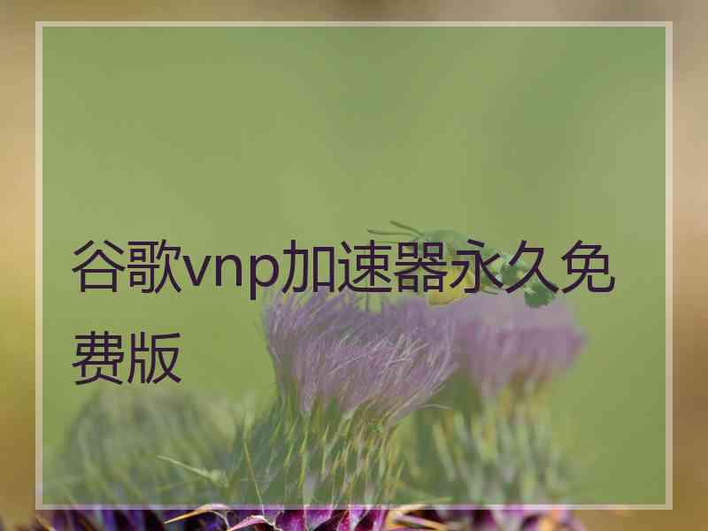 谷歌vnp加速器永久免费版