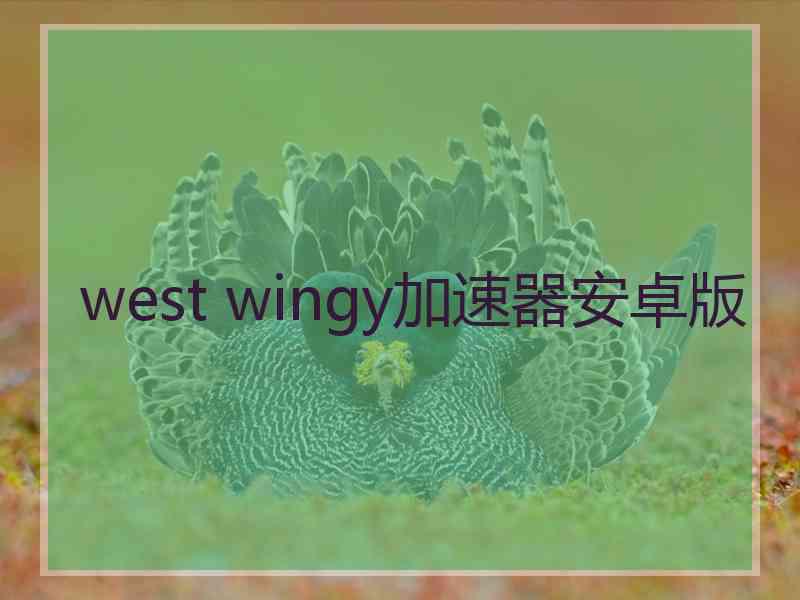 west wingy加速器安卓版