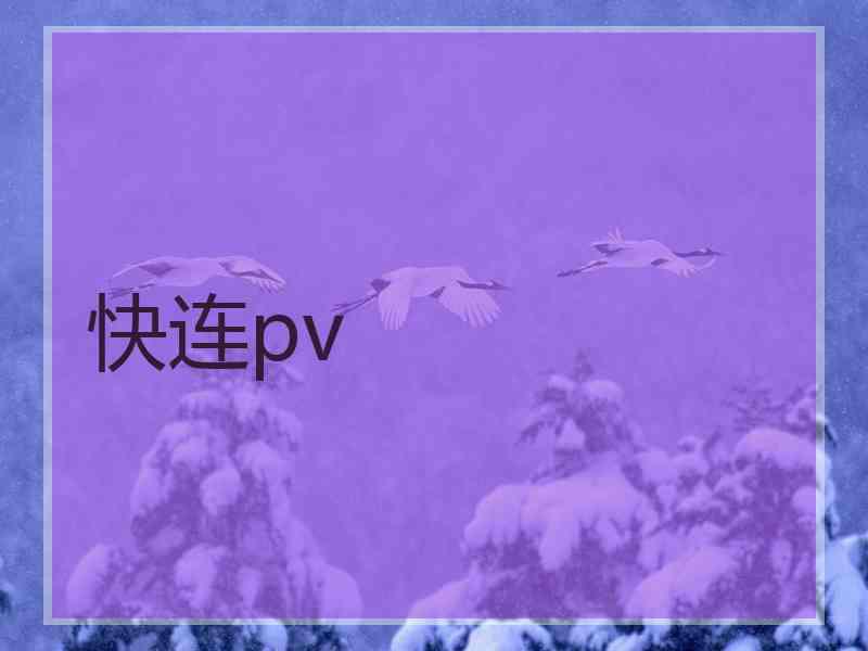 快连pv 快连pv