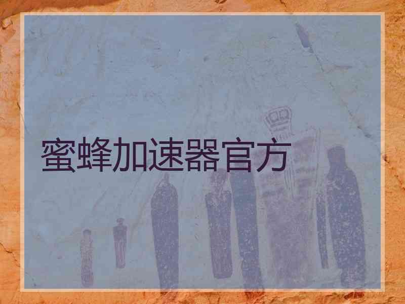 蜜蜂加速器官方