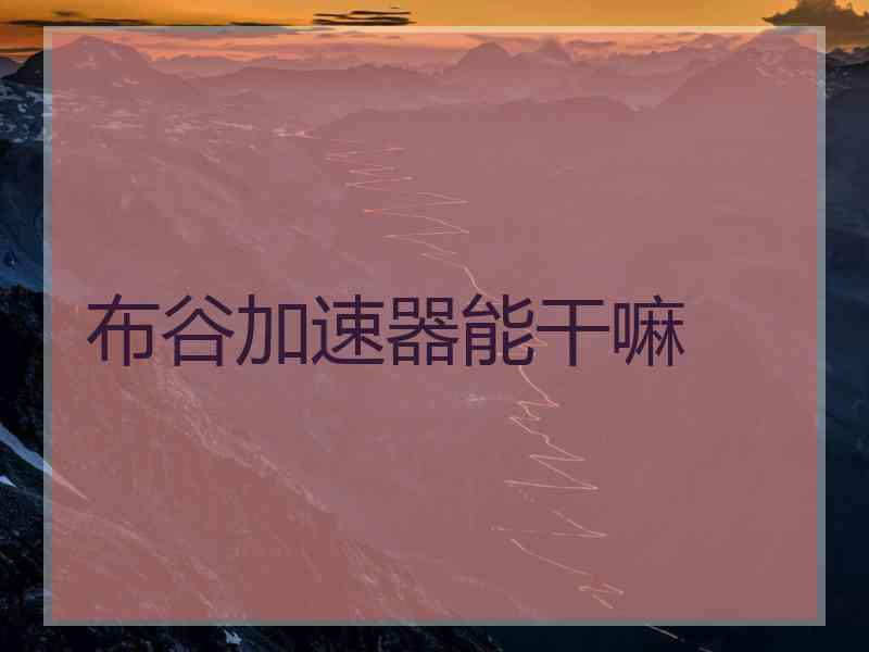 布谷加速器能干嘛