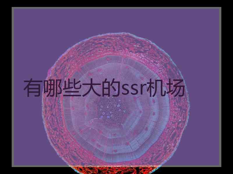 有哪些大的ssr机场