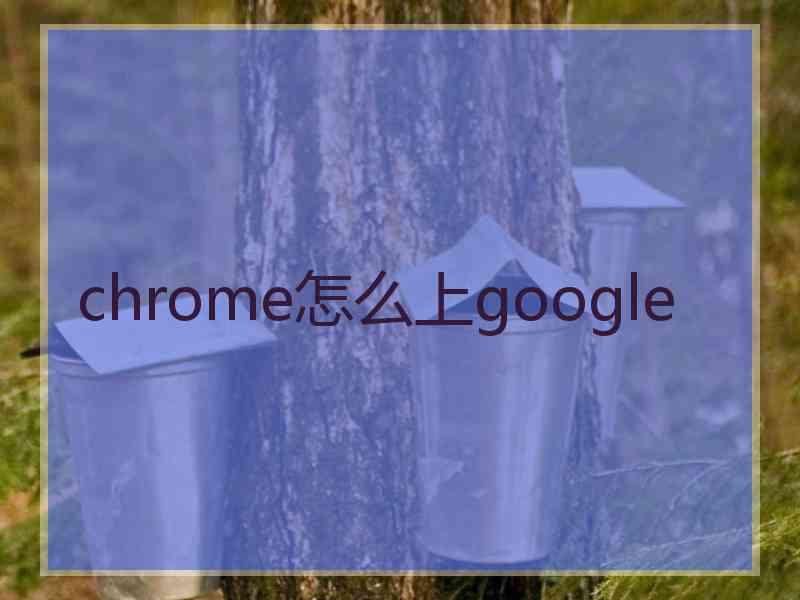 chrome怎么上google