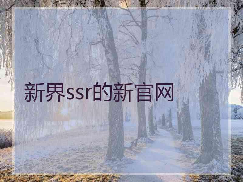 新界ssr的新官网