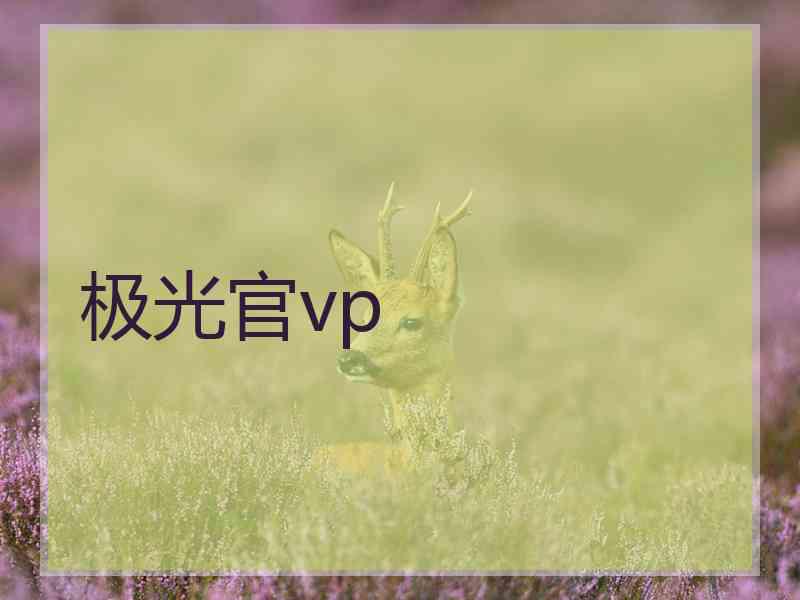 极光官vp