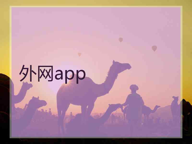 外网app