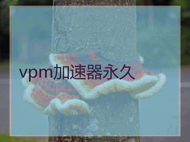 vpm加速器永久