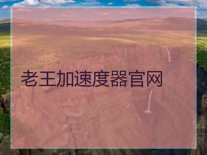 老王加速度器官网
