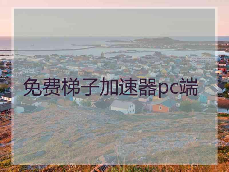 免费梯子加速器pc端