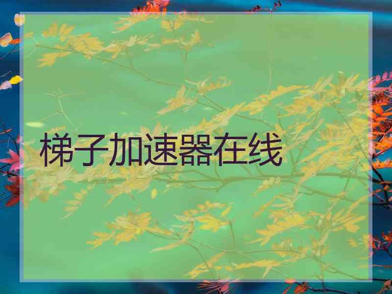 梯子加速器在线