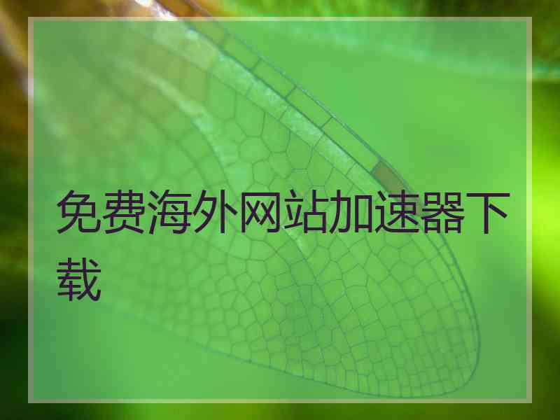 免费海外网站加速器下载