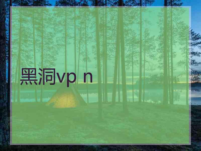黑洞vp n