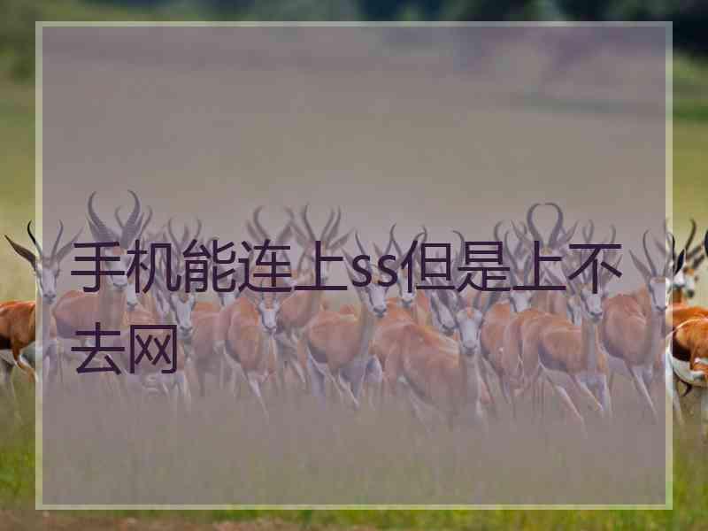 手机能连上ss但是上不去网