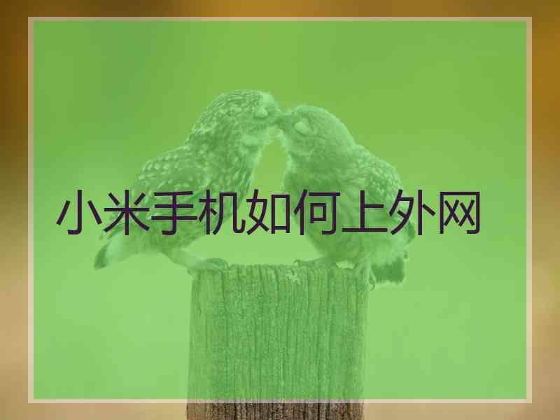 小米手机如何上外网