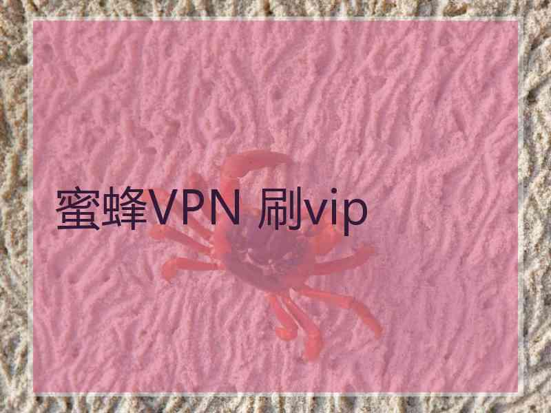 蜜蜂VPN 刷vip
