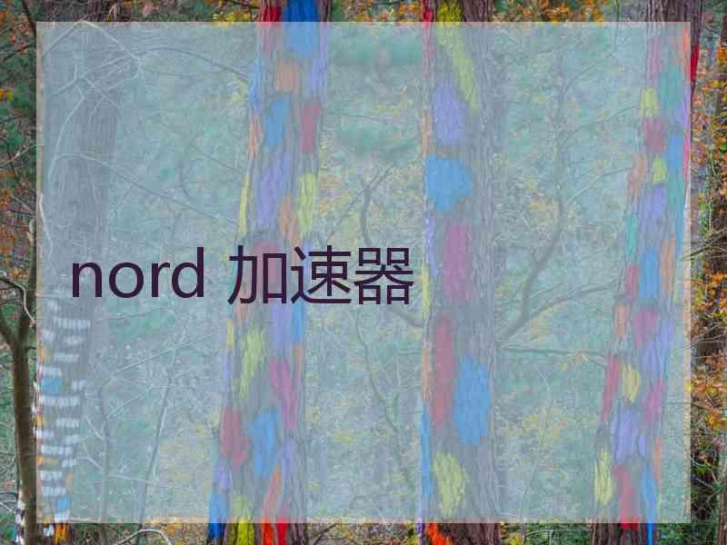 nord 加速器
