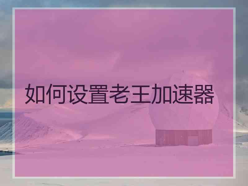 如何设置老王加速器