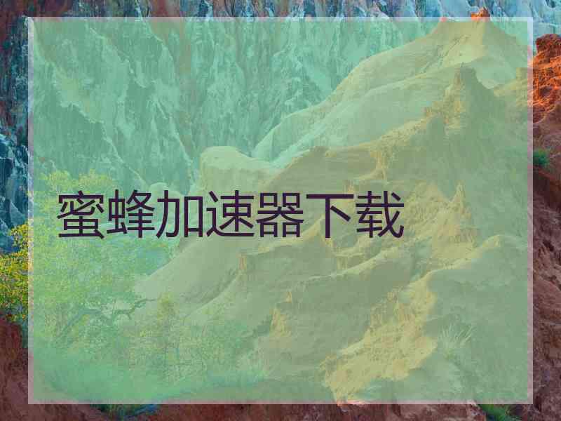 蜜蜂加速器下载