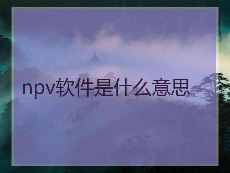 npv软件是什么意思