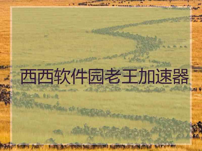 西西软件园老王加速器