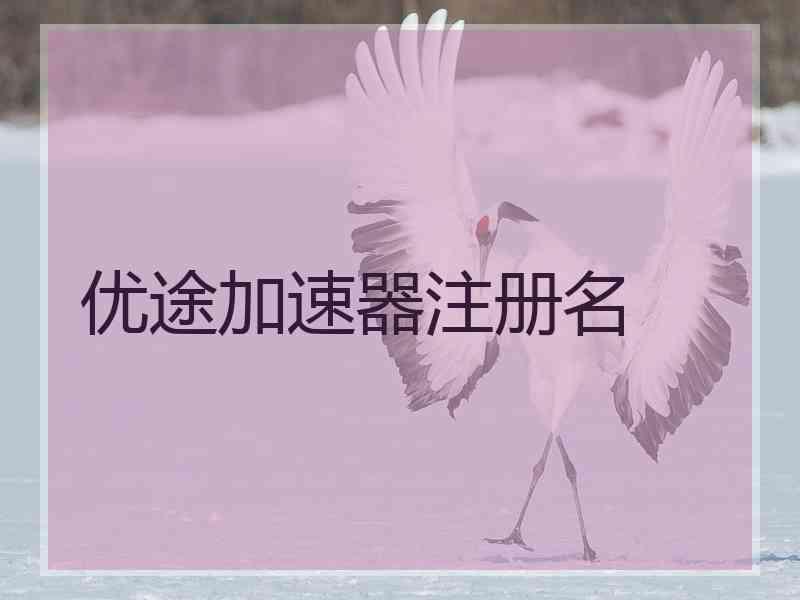 优途加速器注册名