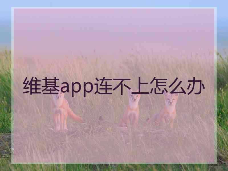 维基app连不上怎么办