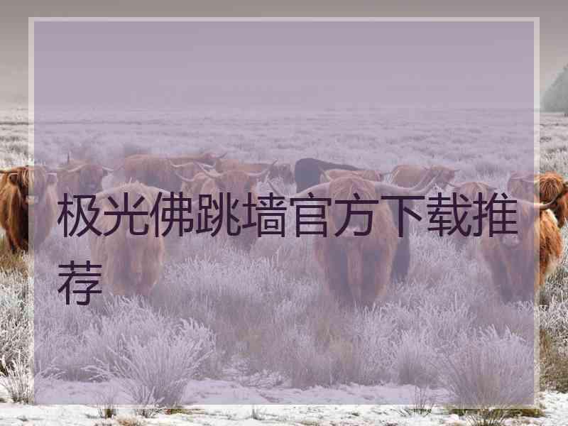 极光佛跳墙官方下载推荐