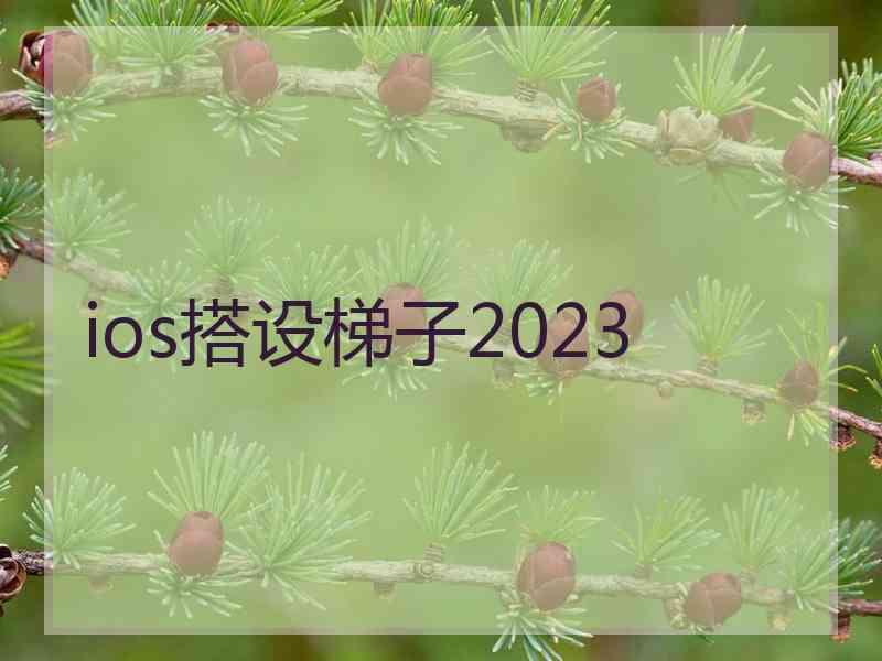 ios搭设梯子2023