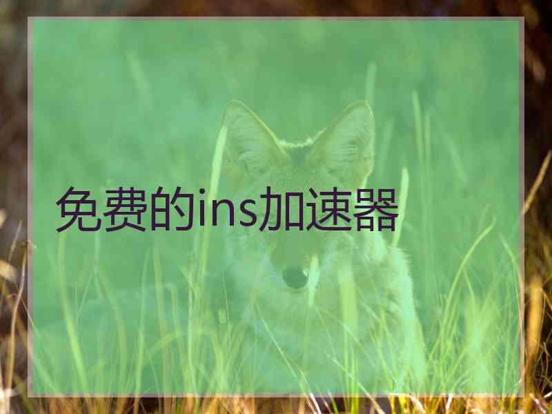 免费的ins加速器