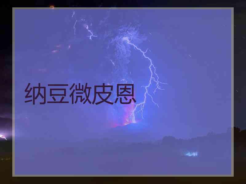 纳豆微皮恩