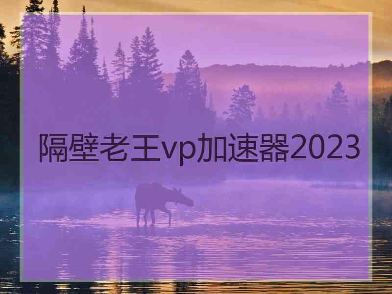 隔壁老王vp加速器2023