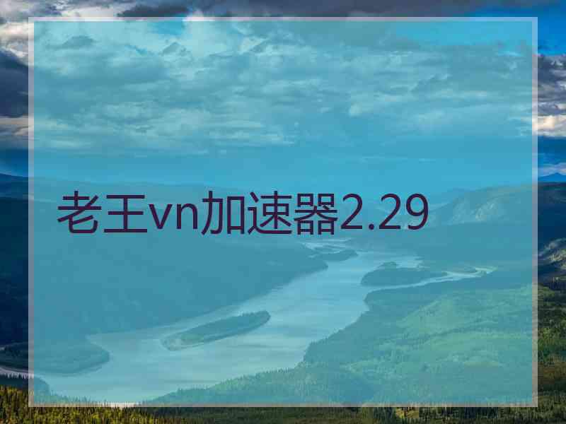 老王vn加速器2.29