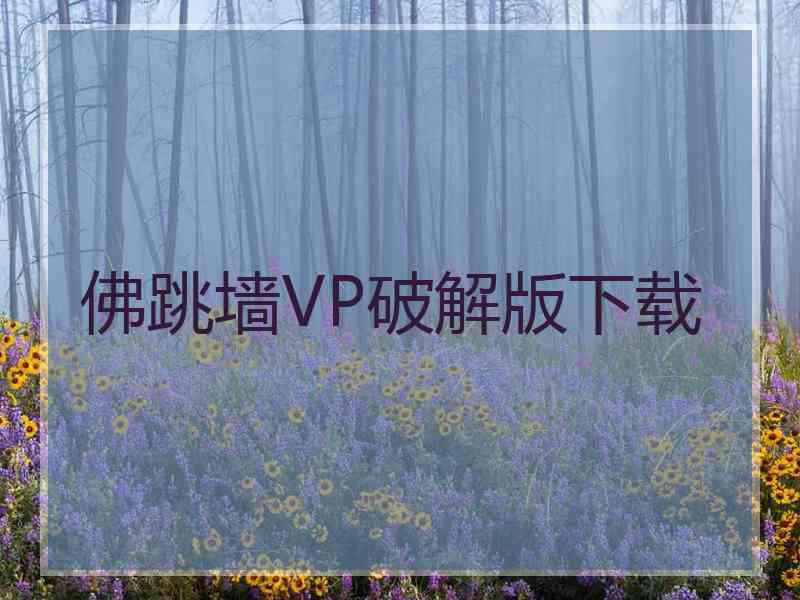 佛跳墙VP破解版下载