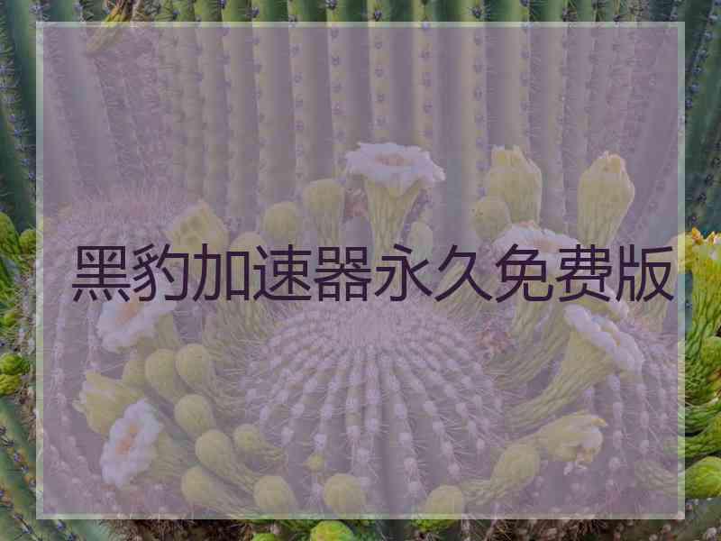 黑豹加速器永久免费版