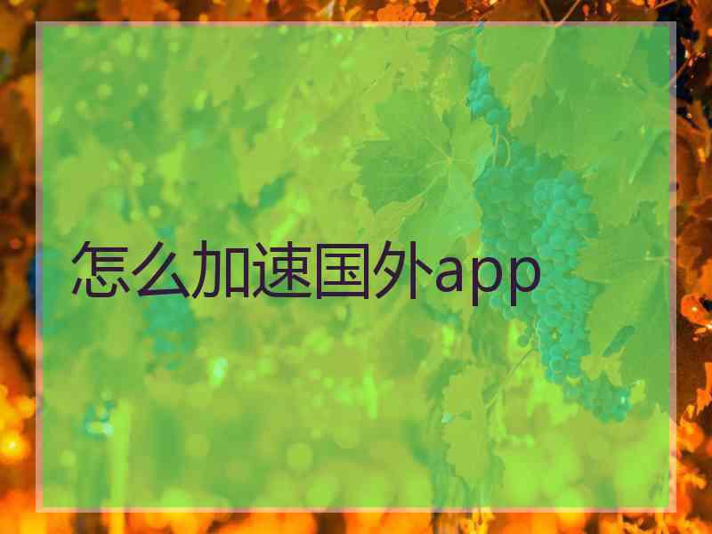 怎么加速国外app