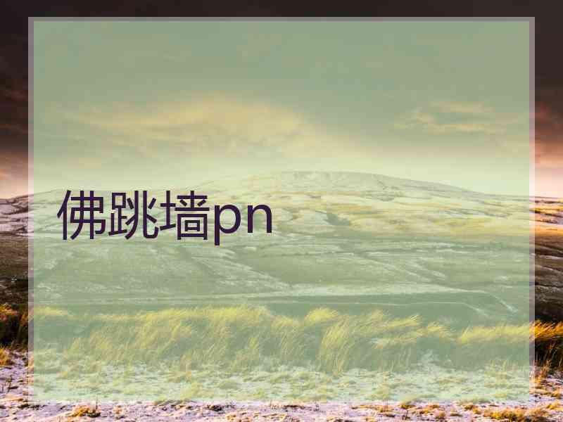 佛跳墙pn