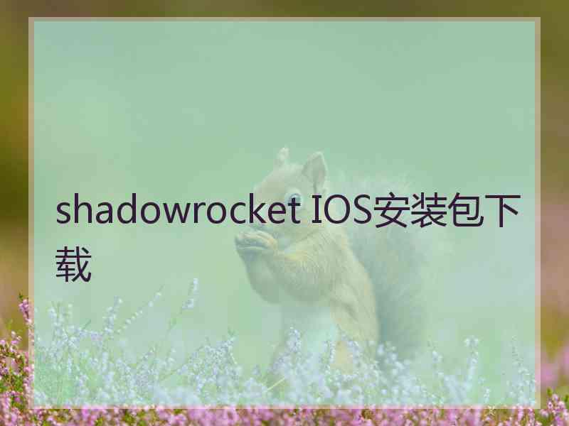shadowrocket IOS安装包下载
