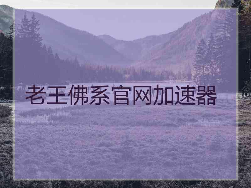 老王佛系官网加速器