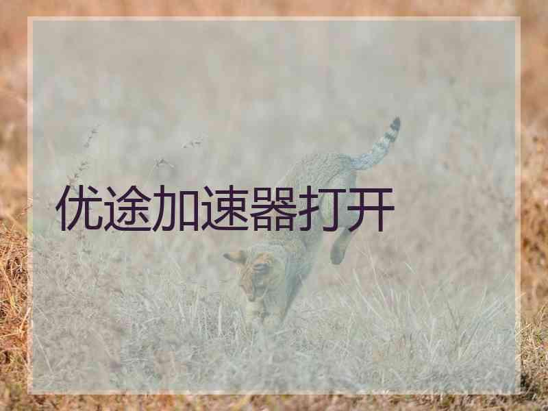 优途加速器打开