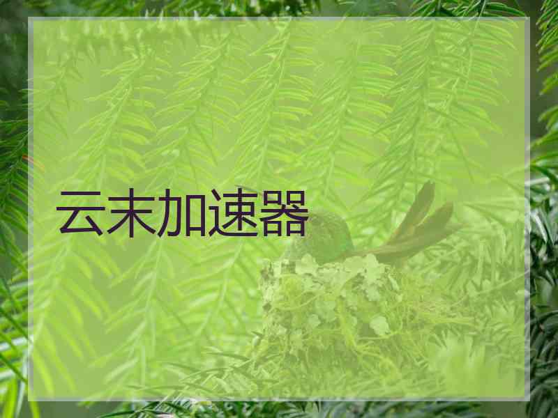 云末加速器